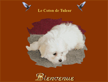 Tablet Screenshot of coton-de-tulear.elevage-chien.net