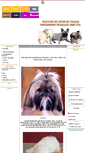 Mobile Screenshot of chien.elevage-chien.net